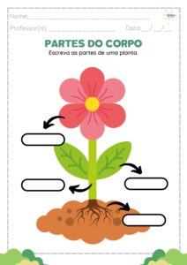2 - Ciclo de Vida dos seres vivos_page-0009